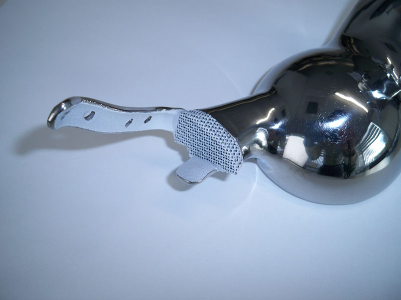 Fig 10. Anterior pubic plate